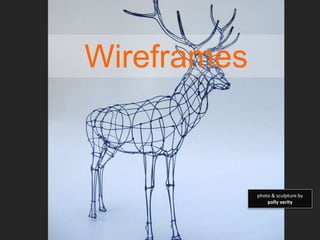 Wireframes
photo & sculpture by
polly verity
 