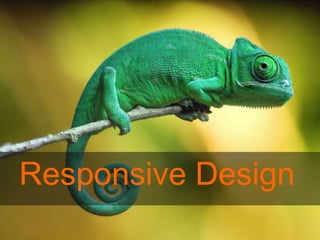 Responsive Design
 