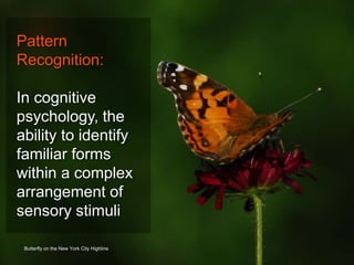 Butterfly on the New York City Highline
Pattern
Recognition:
In cognitive
psychology, the
ability to identify
familiar forms
within a complex
arrangement of
sensory stimuli
 