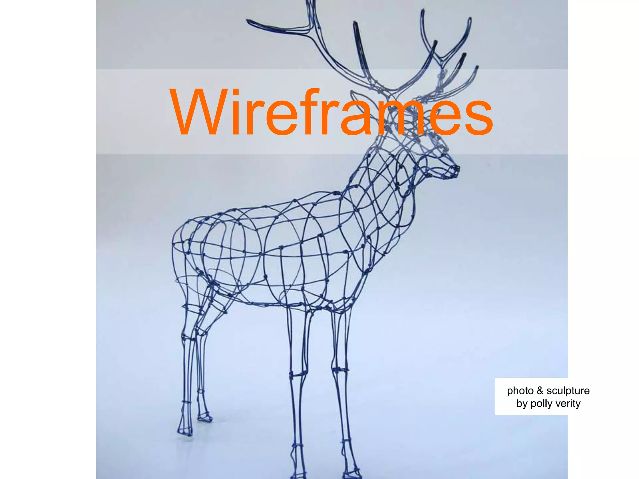 Wireframes
photo & sculpture
by polly verity
 