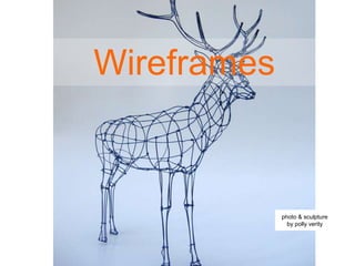 Wireframes
photo & sculpture
by polly verity
 