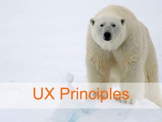 UX Principles
 