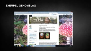 EXEMPEL GENOMSLAG
 