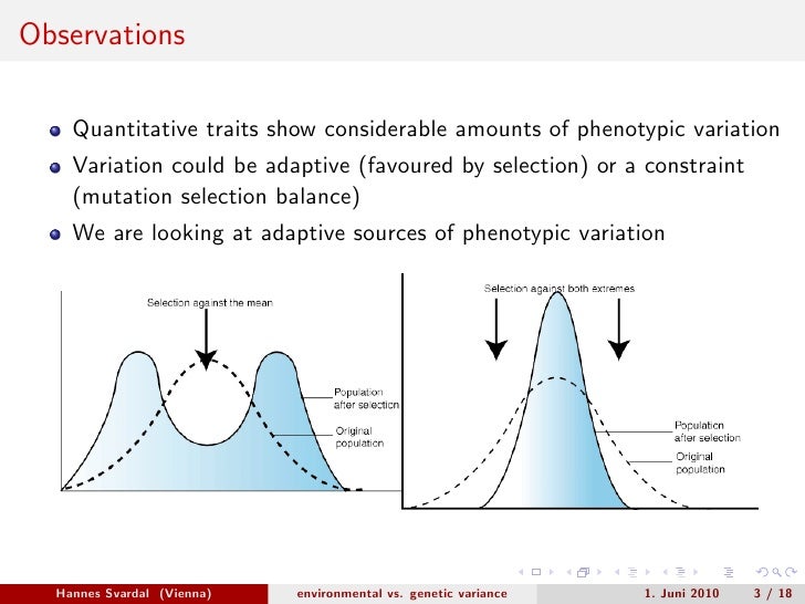 Hannes Svardal - The role of environmental variance as adaptive respo…