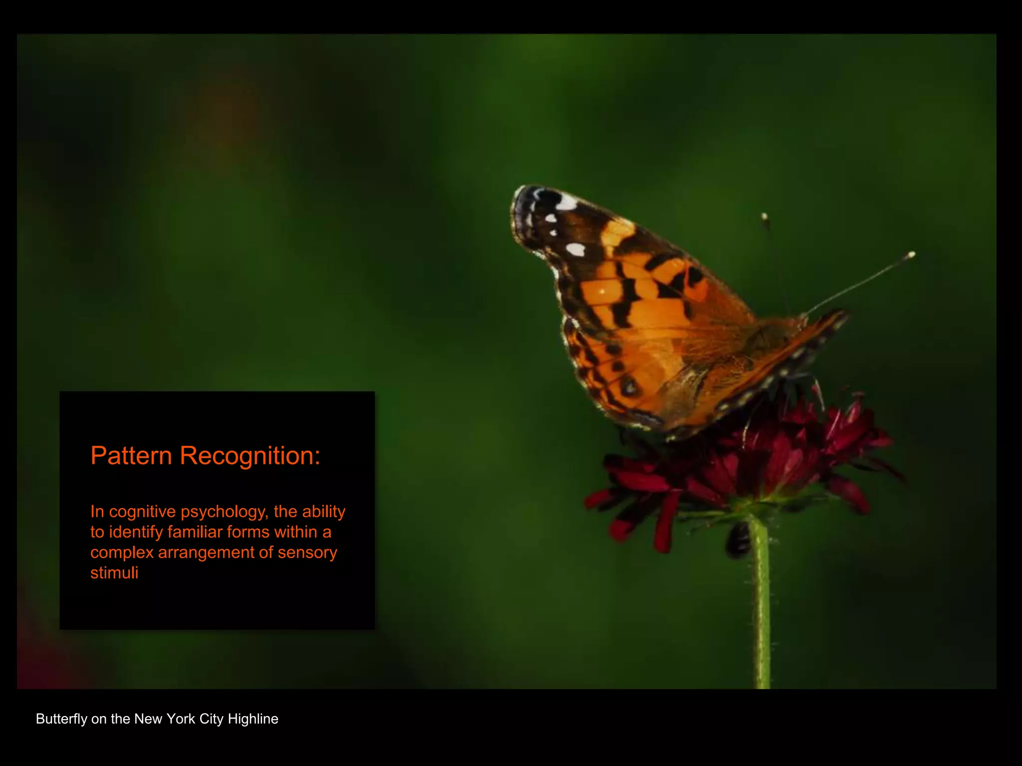 Pattern Recognition:

        In cognitive psychology, the ability
        to identify familiar forms within a
        complex arrangement of sensory
        stimuli




Butterfly on the New York City Highline
 