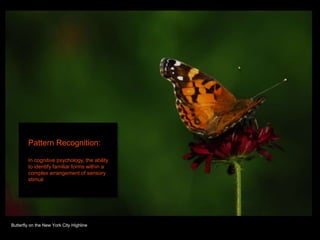 Pattern Recognition:

        In cognitive psychology, the ability
        to identify familiar forms within a
        complex arrangement of sensory
        stimuli




Butterfly on the New York City Highline
 