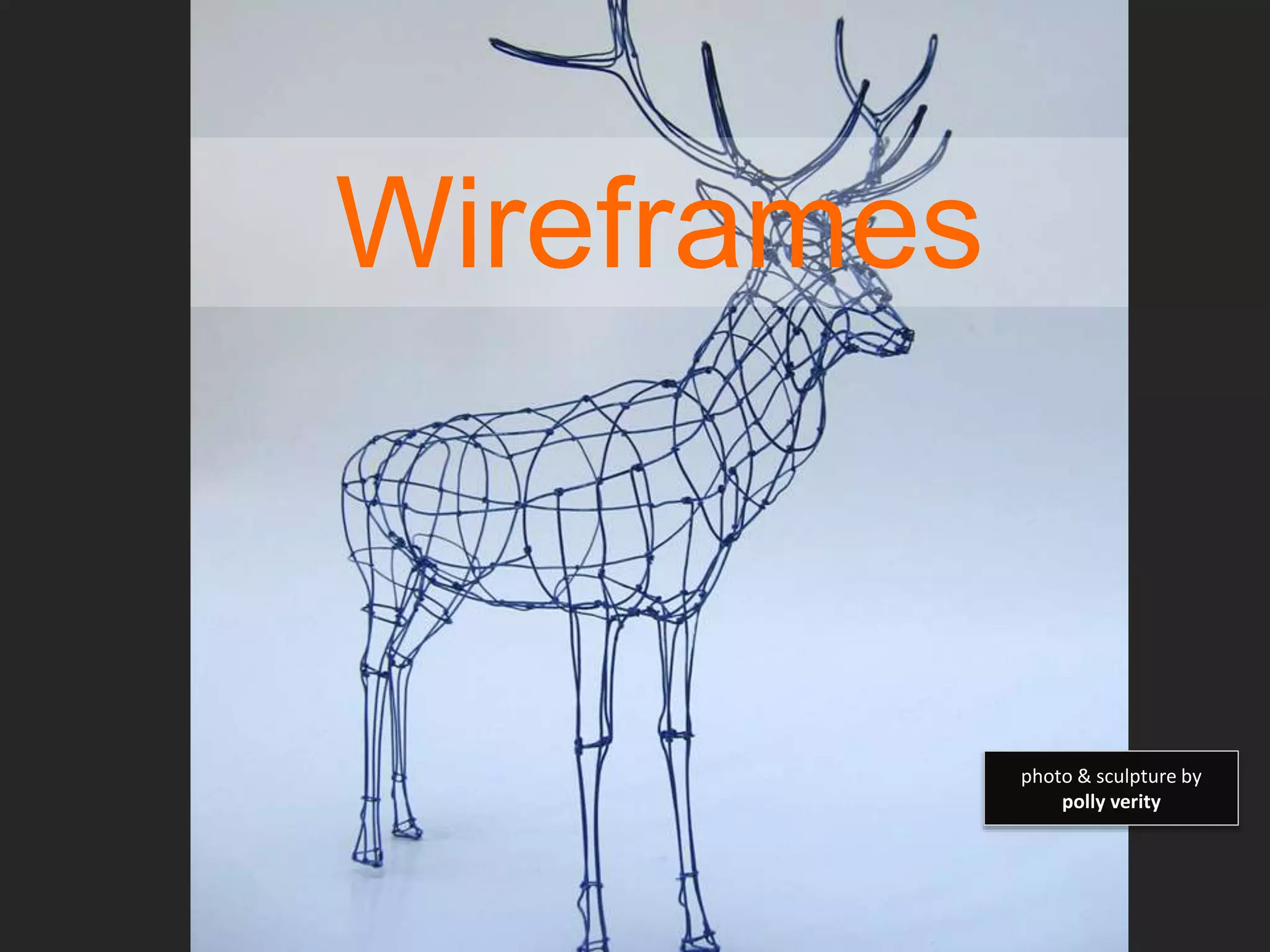 Wireframes 
photo & sculpture by 
polly verity 
 