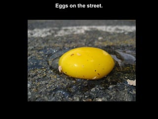 Eggs on the street.
 