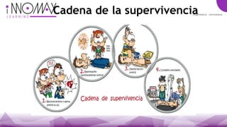 Cadena de la supervivencia
 