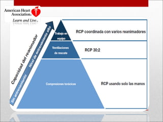 ¿Sólo compresiones torácicas? 