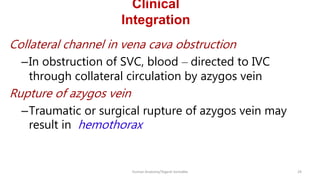 Svc Rupture ANATOMT OF SVC & AZYGOS SYSTEM AND APPLIED ASPECTSppt | PPT