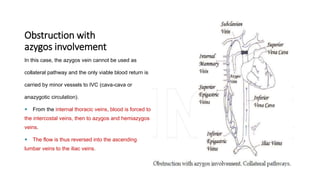 Obstruction with
azygos involvement
In this case, the azygos vein cannot be used as
collateral pathway and the only viable blood return is
carried by minor vessels to IVC (cava-cava or
anazygotic circulation).
 From the internal thoracic veins, blood is forced to
the intercostal veins, then to azygos and hemiazygos
veins.
 The flow is thus reversed into the ascending
lumbar veins to the iliac veins.
 