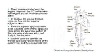  Direct anastomosis between the
azygos’ origin and the IVC and between
hemiazygos and left renal vein are also
active.
 In addition, the internal thoracic
veins can flow into the superior
epigastric veins.
 From the superior epigastric veins,
blood is carried to the inferior epigastric
veins across the superficial system of
the cutaneous abdominal veins and
finally to the iliac veins.
 Another course is between the
thoraco-epigastric vein (collateral of the
axillary vein) and the external iliac vein.
 