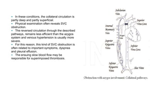  In these conditions, the collateral circulation is
partly deep and partly superficial.
 Physical examination often reveals SVC
obstruction.
 The reversed circulation through the described
pathways, remains less efficient than the azygos
system and venous hypertension is usually more
severe.
 For this reason, this kind of SVC obstruction is
often related to important symptoms, dyspnea
and pleural effusion.
 The ensuing slow blood flow may be
responsible for superimposed thrombosis.
 