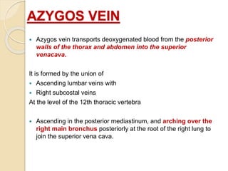AZYGOS VEIN
 Azygos vein transports deoxygenated blood from the posterior
walls of the thorax and abdomen into the superior
venacava.
It is formed by the union of
 Ascending lumbar veins with
 Right subcostal veins
At the level of the 12th thoracic vertebra
 Ascending in the posterior mediastinum, and arching over the
right main bronchus posteriorly at the root of the right lung to
join the superior vena cava.
 