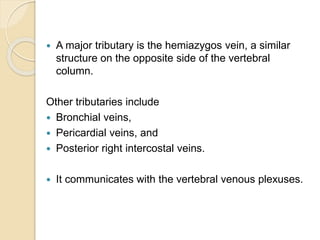  A major tributary is the hemiazygos vein, a similar
structure on the opposite side of the vertebral
column.
Other tributaries include
 Bronchial veins,
 Pericardial veins, and
 Posterior right intercostal veins.
 It communicates with the vertebral venous plexuses.
 