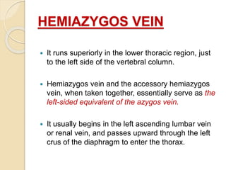 HEMIAZYGOS VEIN
 It runs superiorly in the lower thoracic region, just
to the left side of the vertebral column.
 Hemiazygos vein and the accessory hemiazygos
vein, when taken together, essentially serve as the
left-sided equivalent of the azygos vein.
 It usually begins in the left ascending lumbar vein
or renal vein, and passes upward through the left
crus of the diaphragm to enter the thorax.
 