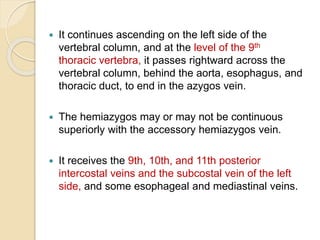  It continues ascending on the left side of the
vertebral column, and at the level of the 9th
thoracic vertebra, it passes rightward across the
vertebral column, behind the aorta, esophagus, and
thoracic duct, to end in the azygos vein.
 The hemiazygos may or may not be continuous
superiorly with the accessory hemiazygos vein.
 It receives the 9th, 10th, and 11th posterior
intercostal veins and the subcostal vein of the left
side, and some esophageal and mediastinal veins.
 