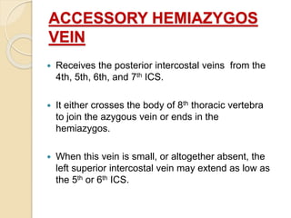 ACCESSORY HEMIAZYGOS
VEIN
 Receives the posterior intercostal veins from the
4th, 5th, 6th, and 7th ICS.
 It either crosses the body of 8th thoracic vertebra
to join the azygous vein or ends in the
hemiazygos.
 When this vein is small, or altogether absent, the
left superior intercostal vein may extend as low as
the 5th or 6th ICS.
 