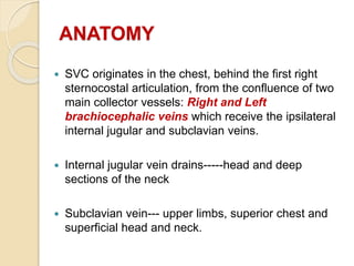 ANATOMY
 SVC originates in the chest, behind the first right
sternocostal articulation, from the confluence of two
main collector vessels: Right and Left
brachiocephalic veins which receive the ipsilateral
internal jugular and subclavian veins.
 Internal jugular vein drains-----head and deep
sections of the neck
 Subclavian vein--- upper limbs, superior chest and
superficial head and neck.
 
