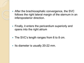 After the brachiocephalic convergence, the SVC
follows the right lateral margin of the sternum in an
inferoposterior direction.
 Finally, it enters the pericardium superiorly and
opens into the right atrium
 The SVC’s length ranges from 6 to 8 cm.
 Its diameter is usually 20-22 mm.
 