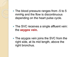  The blood pressure ranges from -5 to 5
mmHg and the flow is discontinuous
depending on the heart pulse cycle.
 The SVC receives a single affluent vein:
the azygos vein.
 The azygos vein joins the SVC from the
right side, at its mid length, above the
right bronchus.
 