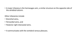 • A major tributary is the hemiazygos vein, a similar structure on the opposite side of
the vertebral column.
Other tributaries include
• Bronchial veins,
• Pericardial veins, and
• Posterior right intercostal veins.
• It communicates with the vertebral venous plexuses.
 
