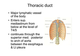 Thoracic duct
• Major lymphatic vessel
of the body
• Enters sup.
mediastinum from
below at the level of
T4/5
• continues through the
superior med. posterior
to arch of aorta
between the esophagus
& Lt pleura
 