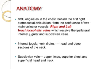 ANATOMY
 SVC originates in the chest, behind the first right
sternocostal articulation, from the confluence of two
main collector vessels: Right and Left
brachiocephalic veins which receive the ipsilateral
internal jugular and subclavian veins.
 Internal jugular vein drains-----head and deep
sections of the neck
 Subclavian vein--- upper limbs, superior chest and
superficial head and neck.
 