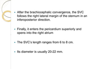  After the brachiocephalic convergence, the SVC
follows the right lateral margin of the sternum in an
inferoposterior direction.
 Finally, it enters the pericardium superiorly and
opens into the right atrium
 The SVC’s length ranges from 6 to 8 cm.
 Its diameter is usually 20-22 mm.
 