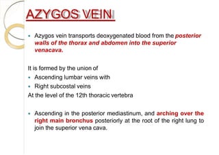 AZYGOS VEIN
 Azygos vein transports deoxygenated blood from the posterior
walls of the thorax and abdomen into the superior
venacava.
It is formed by the union of
 Ascending lumbar veins with
 Right subcostal veins
At the level of the 12th thoracic vertebra
 Ascending in the posterior mediastinum, and arching over the
right main bronchus posteriorly at the root of the right lung to
join the superior vena cava.
 