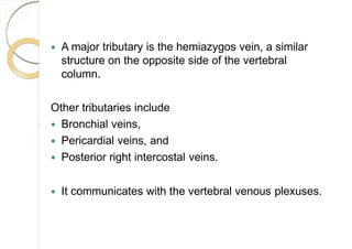  A major tributary is the hemiazygos vein, a similar
structure on the opposite side of the vertebral
column.
Other tributaries include
 Bronchial veins,
 Pericardial veins, and
 Posterior right intercostal veins.
 It communicates with the vertebral venous plexuses.
 