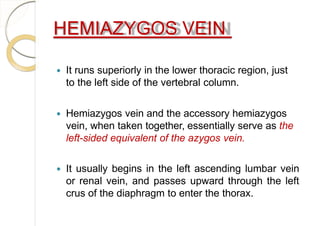 HEMIAZYGOS VEIN
 It runs superiorly in the lower thoracic region, just
to the left side of the vertebral column.
 Hemiazygos vein and the accessory hemiazygos
vein, when taken together, essentially serve as the
left-sided equivalent of the azygos vein.
 It usually begins in the left ascending lumbar vein
or renal vein, and passes upward through the left
crus of the diaphragm to enter the thorax.
 