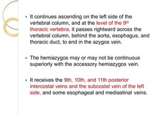  It continues ascending on the left side of the
vertebral column, and at the level of the 9th
thoracic vertebra, it passes rightward across the
vertebral column, behind the aorta, esophagus, and
thoracic duct, to end in the azygos vein.
 The hemiazygos may or may not be continuous
superiorly with the accessory hemiazygos vein.
 It receives the 9th, 10th, and 11th posterior
intercostal veins and the subcostal vein of the left
side, and some esophageal and mediastinal veins.
 