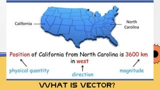 WHAT IS VECTOR?
 