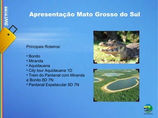 Apresentação Mato Grosso do Sul Principais Roteiros: Bonito Miranda Aquidauana City tour Aquidauana 1D Trem do Pantanal com Miranda e Bonito 8D 7N  Pantanal Espetacular 8D 7N 