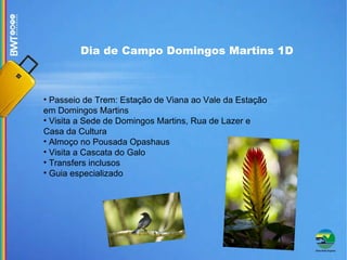 Dia de Campo Domingos Martins 1D Passeio de Trem: Estação de Viana ao Vale da Estação em Domingos Martins Visita a Sede de Domingos Martins, Rua de Lazer e Casa da Cultura Almoço no Pousada Opashaus Visita a Cascata do Galo  Transfers inclusos Guia especializado 