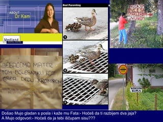 Došao Mujo gladan s posla i kaže mu Fata:- Hoćeš da ti razbijem dva jaja? A Mujo odgovori:- Hoćeš da ja tebi iščupam sisu???  