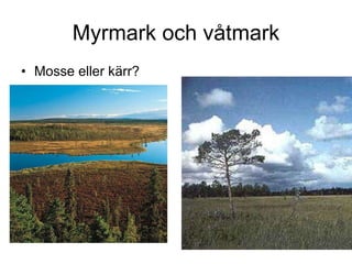 Svenska Naturtyper | PPT