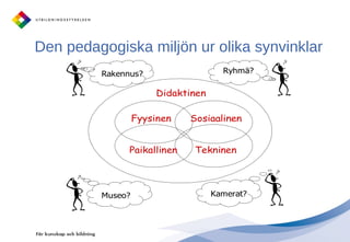 Den pedagogiska miljön ur olika synvinklar 