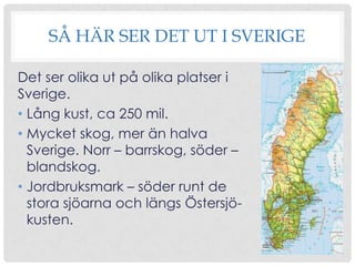 SÅ HÄR SER DET UT I SVERIGE
Det ser olika ut på olika platser i
Sverige.
• Lång kust, ca 250 mil.
• Mycket skog, mer än halva
Sverige. Norr – barrskog, söder –
blandskog.
• Jordbruksmark – söder runt de
stora sjöarna och längs Östersjökusten.

 