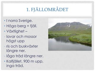 1. FJÄLLOMRÅDET
• I norra Sverige.
• Höga berg = fjäll.
• Växtlighet –
- lavar och mossor
högst upp
- ris och buskväxter
längre ner.
- låga träd längre ner.
• Kalfjället, 900 m upp,
inga träd.

 