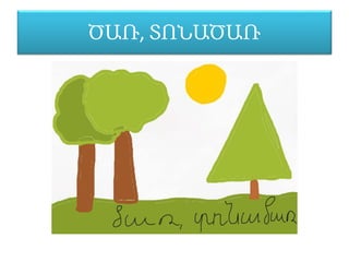 ԾԱՌ, ՏՈՆԱԾԱՌ
 