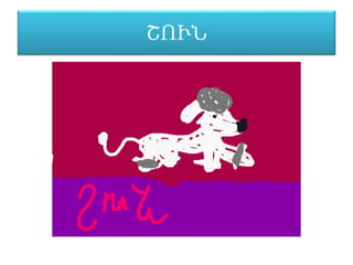 ՇՒՆ
 