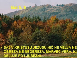 Gal 5, 6 SAJ V KRISTUSU JEZUSU NIČ NE VELJA NE OBREZA NE NEOBREZA, MARVEČ VERA, KI DELUJE PO LJUBEZNI.  