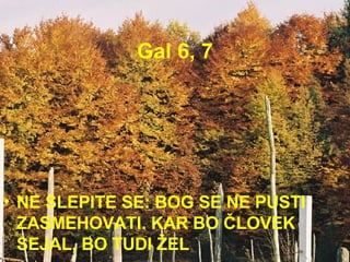 Gal 6, 7 NE SLEPITE SE: BOG SE NE PUSTI ZASMEHOVATI. KAR BO ČLOVEK SEJAL, BO TUDI ŽEL  