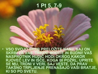 1 Pt 5, 7-9 VSO SVOJO SKRB PRELOŽITE NANJ, SAJ ON SKRBI ZA VAS. TREZNI BODITE IN BUDNI! VAŠ NASPROTNIK HUDIČ HODI OKROG KAKOR RJOVEČ LEV IN IŠČE, KOGA BI POŽRL. UPRITE SE MU, TRDNI V VERI. SAJ VESTE, DA PRAV TAKŠNO TRPLJENJE PRENAŠAJO VAŠI BRATJE, KI SO PO SVETU. 