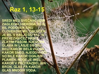 Raz 1, 13-15 SREDI MED SVEČNIKI (SEM ZAGLEDAL) NEKOGA, KI JE BIL PODOBEN SINU ČLOVEKOVEMU. OBLEČEN JE BIL V HALJO DO TAL IN PREVEZAN ČEZ PRSI Z ZLATIM PASOM. NJEGOVA GLAVA IN LASJE SO BILI BELI KAKOR BELA VOLNA, KAKOR SNEG, NJEGOVI OČI SO BILE KAKOR OGNJEN PLAMEN, NOGE JE IMEL KAKOR V PEČI RAZBELJEN BRON, GLAS PA KAKOR GLAS MNOGIH VODA. 