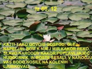 Iz 66, 12 KAJTI TAKO GOVORI GOSPOD: GLEJ, NAPELJAL BOM K NJEJ MIR KAKOR REKO, SLAVO NARODOV KAKOR POPLAVLJAJOČ HUDOURNIK, IN BOSTE SESALI, V NAROČJU VAS BODO NOSILI, NA KOLENIH LJUBKOVALI 