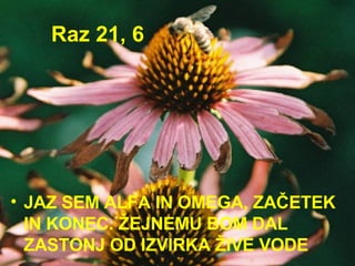 Raz 21, 6 JAZ SEM ALFA IN OMEGA, ZAČETEK IN KONEC. ŽEJNEMU BOM DAL ZASTONJ OD IZVIRKA ŽIVE VODE   